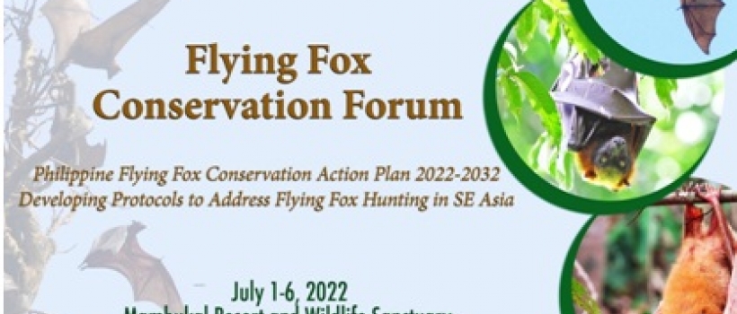 CSU Faculty-Researchers Collaborate with Flying Fox Conservation in Southeast Asia