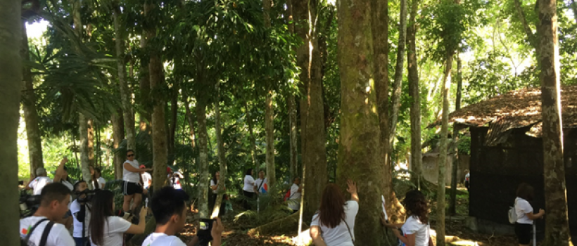 2019 Balik-Butuan Butuanons Plant and Hug Trees in CSU