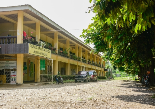 The College of Forestry and Environmental Science