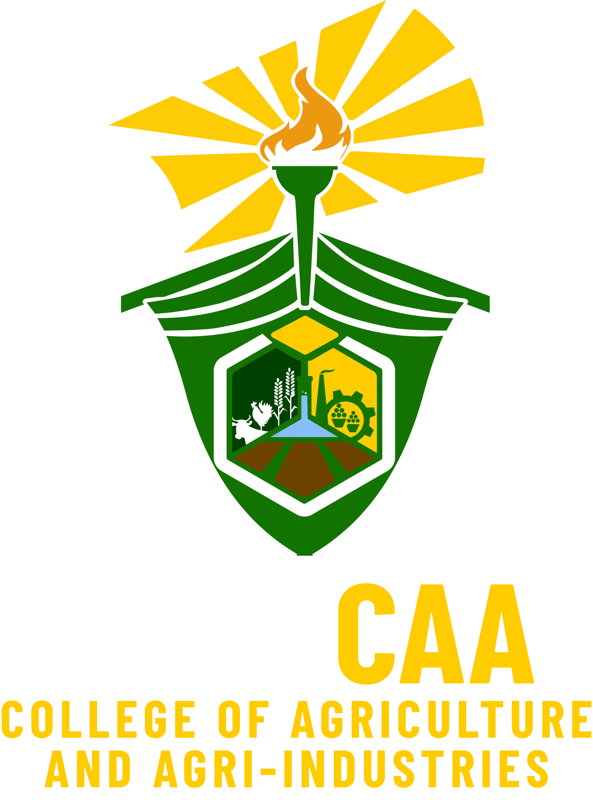 CSU-CAA